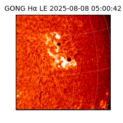 gong - 2025-08-08T05:00:42