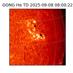 gong - 2025-08-08T08:00:22