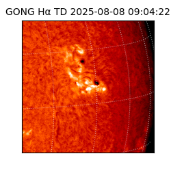 gong - 2025-08-08T09:04:22