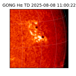 gong - 2025-08-08T11:00:22