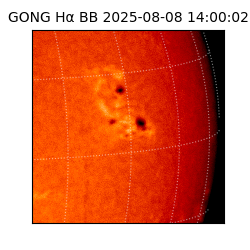 gong - 2025-08-08T14:00:02