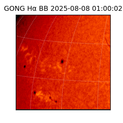 gong - 2025-08-08T01:00:02