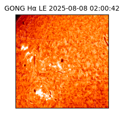 gong - 2025-08-08T02:00:42
