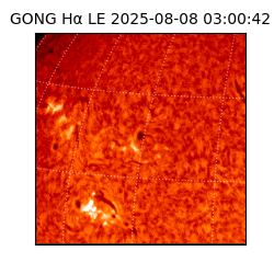 gong - 2025-08-08T03:00:42