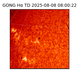 gong - 2025-08-08T08:00:22