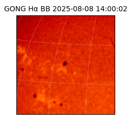 gong - 2025-08-08T14:00:02