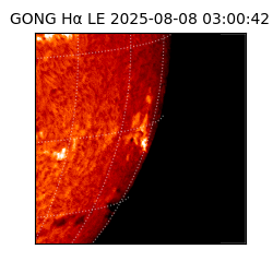gong - 2025-08-08T03:00:42