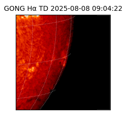 gong - 2025-08-08T09:04:22