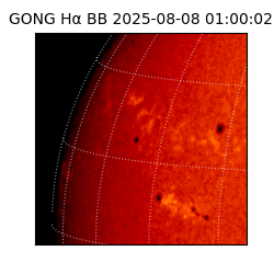 gong - 2025-08-08T01:00:02
