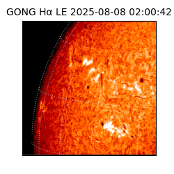 gong - 2025-08-08T02:00:42