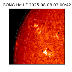 gong - 2025-08-08T03:00:42