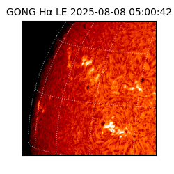 gong - 2025-08-08T05:00:42