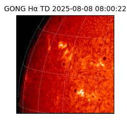 gong - 2025-08-08T08:00:22