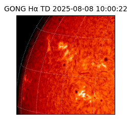 gong - 2025-08-08T10:00:22