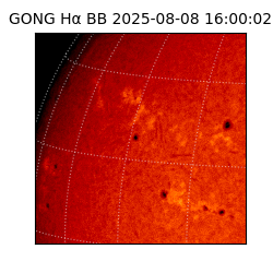 gong - 2025-08-08T16:00:02