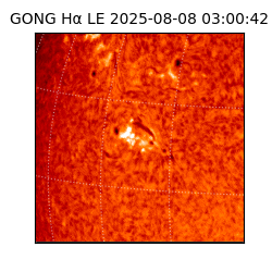 gong - 2025-08-08T03:00:42