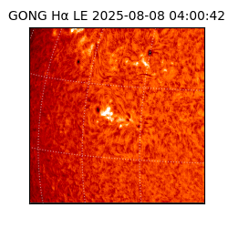 gong - 2025-08-08T04:00:42