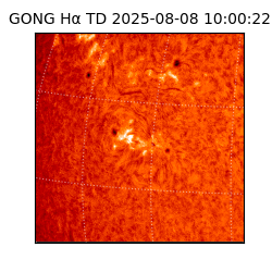 gong - 2025-08-08T10:00:22