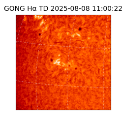 gong - 2025-08-08T11:00:22