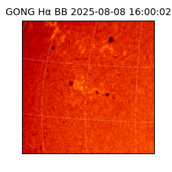 gong - 2025-08-08T16:00:02