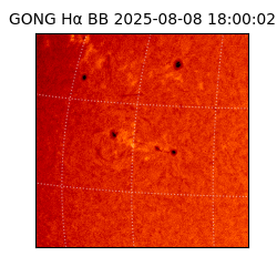 gong - 2025-08-08T18:00:02