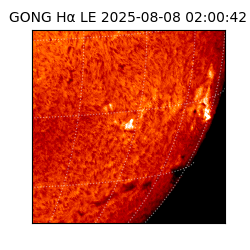 gong - 2025-08-08T02:00:42