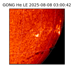 gong - 2025-08-08T03:00:42