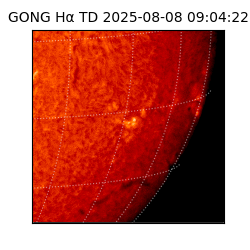 gong - 2025-08-08T09:04:22