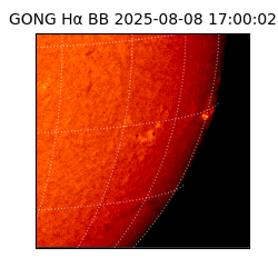 gong - 2025-08-08T17:00:02
