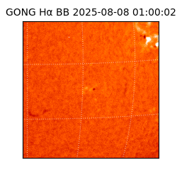 gong - 2025-08-08T01:00:02