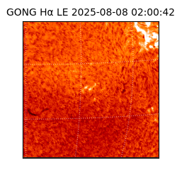 gong - 2025-08-08T02:00:42