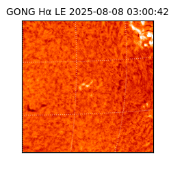 gong - 2025-08-08T03:00:42