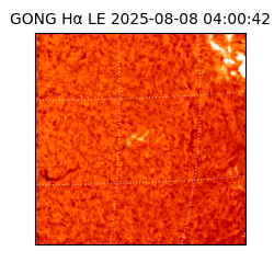 gong - 2025-08-08T04:00:42