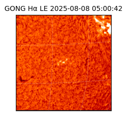 gong - 2025-08-08T05:00:42