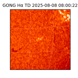 gong - 2025-08-08T08:00:22