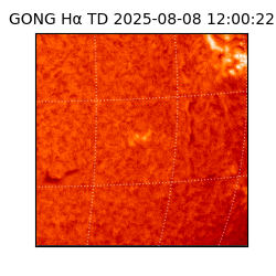 gong - 2025-08-08T12:00:22