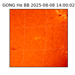 gong - 2025-08-08T14:00:02