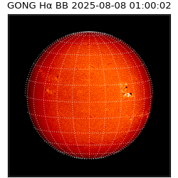 gong - 2025-08-08T01:00:02