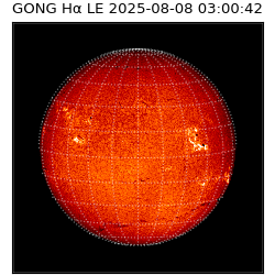 gong - 2025-08-08T03:00:42