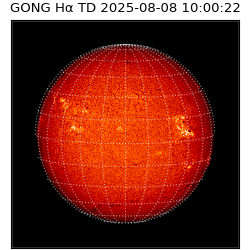 gong - 2025-08-08T10:00:22