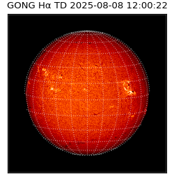gong - 2025-08-08T12:00:22