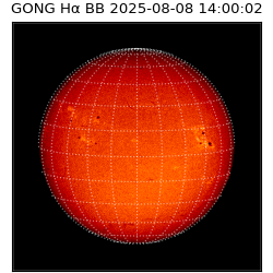 gong - 2025-08-08T14:00:02
