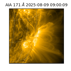 saia - 2025-08-09T09:00:09.350000