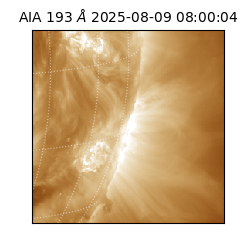 saia - 2025-08-09T08:00:04.843000