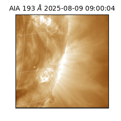 saia - 2025-08-09T09:00:04.843000