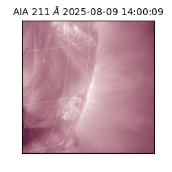 saia - 2025-08-09T14:00:09.626000