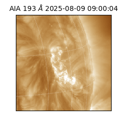 saia - 2025-08-09T09:00:04.843000