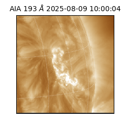 saia - 2025-08-09T10:00:04.843000