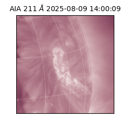 saia - 2025-08-09T14:00:09.626000