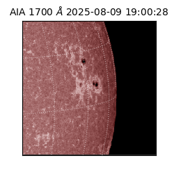 saia - 2025-08-09T19:00:28.718000